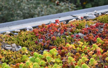 the cost of Elim green roof installation