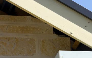 soffit repair Elim