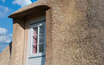 Elim thatch roof disadvantages