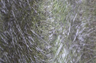 Elim fibreglass roof work