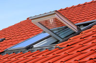 Elim roof window